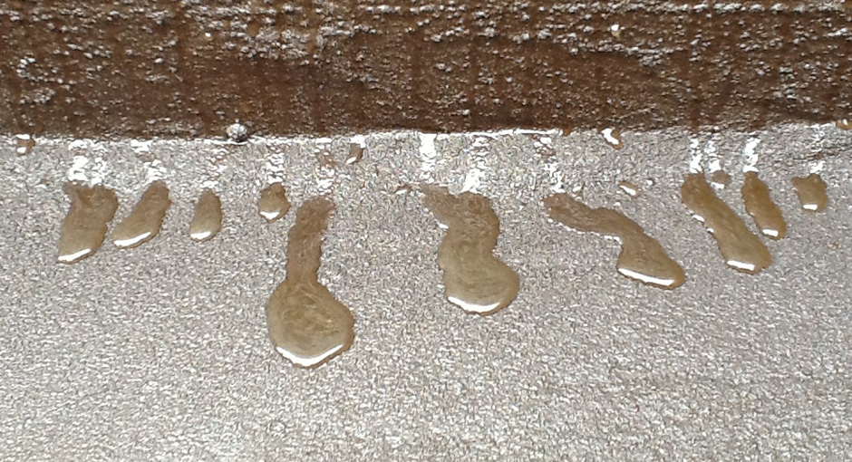 Comapany Headquarters